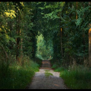 Listen to Slow Dance song with lyrics from SPA