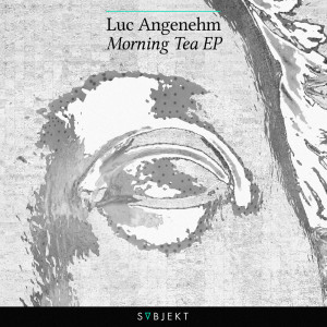 Dengarkan Anabel (Original Mix) lagu dari Luc Angenehm dengan lirik