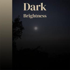 Album Dark Brightness from Various