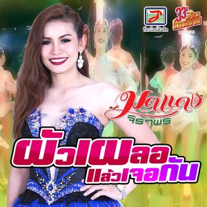 Listen to ผัวเผลอแล้วเจอกัน song with lyrics from มดแดง จิราพร