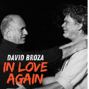 收聽דויד ברוזה的In Love Again歌詞歌曲