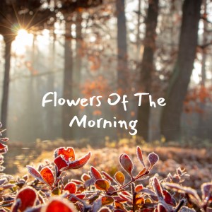 Listen to I Wonder How song with lyrics from Jackson Country Barn Owls