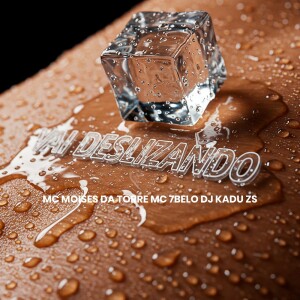 Album VAI DESLIZANDO (Explicit) from DJ Kadu Zs
