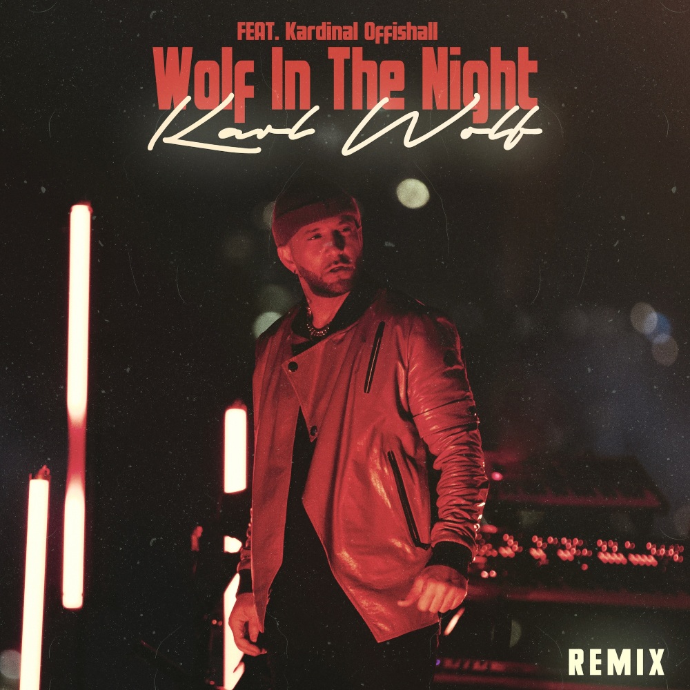 Wolf in the Night (Remix)