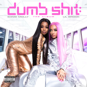 S3nsi Molly的專輯Dumb Shit: The Album