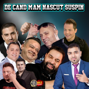 Listen to Sub aceasta cruce rece song with lyrics from Nicu Banateanu