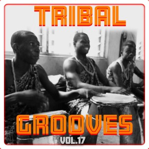 Tribal Grooves Vol. 17