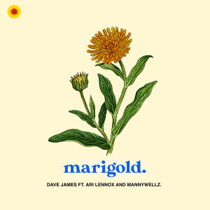 Dave James的專輯Marigold