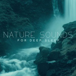 Listen to Instrumental Song song with lyrics from Bedtime Instrumental Piano Music Academy