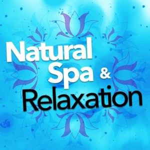 ดาวน์โหลดและฟังเพลง Summertime Brook พร้อมเนื้อเพลงจาก Nature Spa Meditation Music