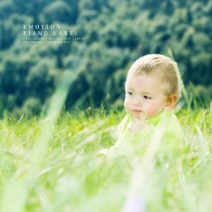 Album Giving A Clear Sensibility Music (Collection Of Prenatal Care For The Piano) from Various Artists
