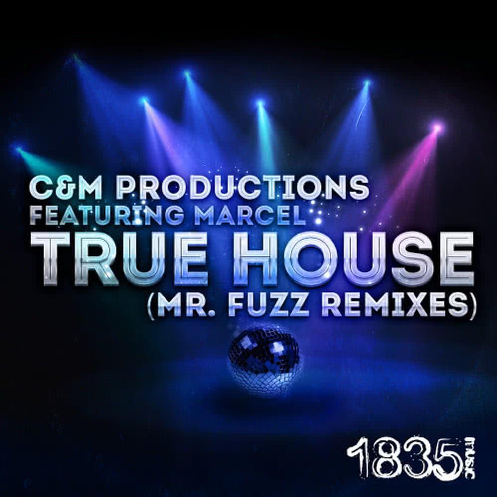 True House (Mr. Fuzz Deep Progressive Beats Mix)