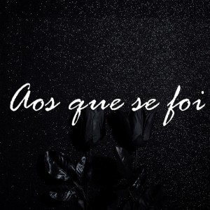 收听Hauster RC的Aos que se foi (Explicit)歌词歌曲