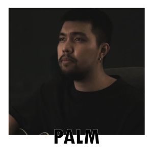 Listen to พจารณา song with lyrics from Palm
