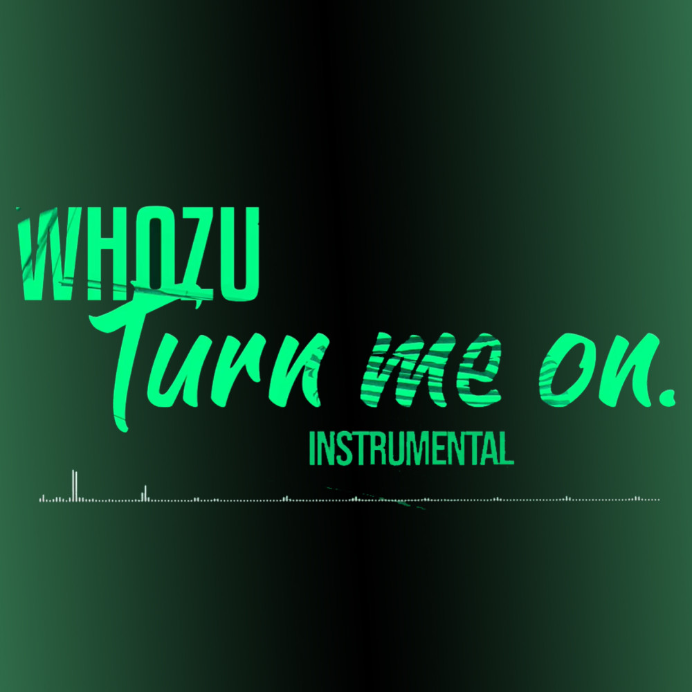 Turn Me On (Instrumental) (Intrumental)