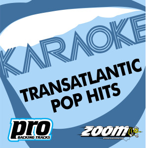收聽Zoom Karaoke的Follow Me (In The Style Of Uncle Kracker)歌詞歌曲