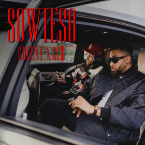 ดาวน์โหลดและฟังเพลง Sowieso (Explicit) พร้อมเนื้อเพลงจาก Greeny