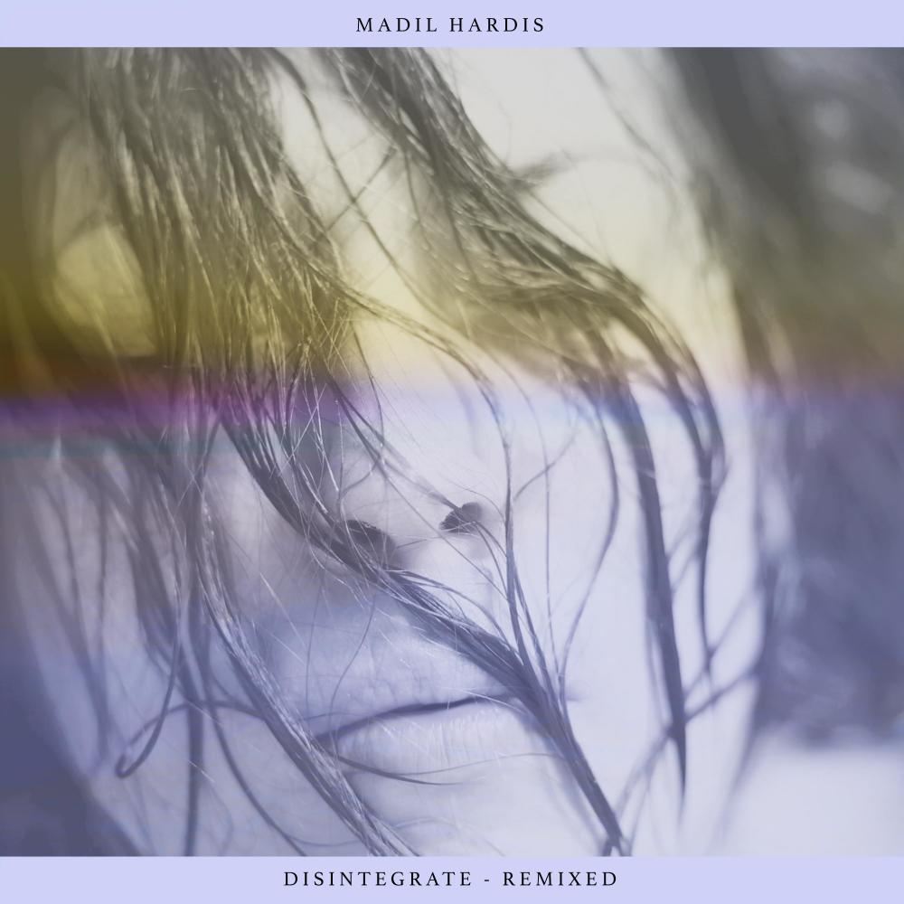 Disintegrate (Nature of Wires Remix)