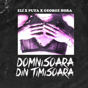 Album Domnisoara Din Timisoara oleh Eli