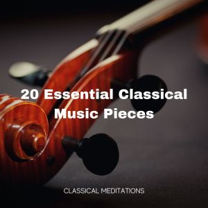 Dengarkan Dance of the Sugar Plum Fairy lagu dari Peter Ilyich Tchaikovsky dengan lirik