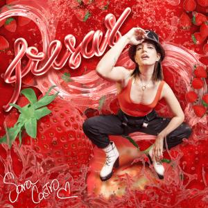 收聽Sara Castro的Fresas歌詞歌曲