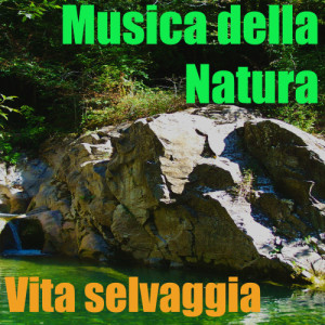 ดาวน์โหลดและฟังเพลง Musica della Natura พร้อมเนื้อเพลงจาก Vita selvaggia