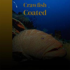 Listen to Crawfish Coated song with lyrics from Jorch Smaa