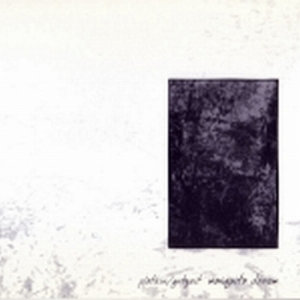 ดาวน์โหลดและฟังเพลง Wires พร้อมเนื้อเพลงจาก James Plotkin