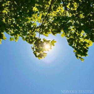 收聽Paty的Nervous System歌詞歌曲
