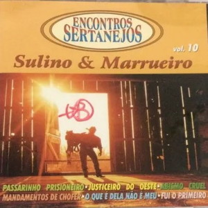 Listen to Vizinha Fuchiqueira song with lyrics from Sulino E Marrueiro