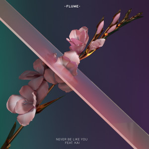 收聽Flume的Never Be Like You (Explicit)歌詞歌曲