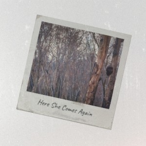 ดาวน์โหลดและฟังเพลง Here She Comes Again พร้อมเนื้อเพลงจาก The Shakers