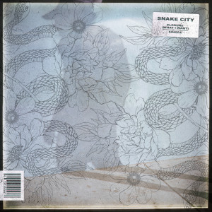 ดาวน์โหลดและฟังเพลง Closure (What I Want) (Instrumental Version) พร้อมเนื้อเพลงจาก Snake City
