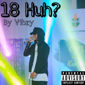 Listen to Sometimes Life (Explicit) song with lyrics from Vibzy