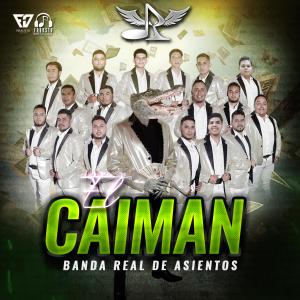 Banda Real De Asientos的專輯El Caiman