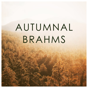 收聽Berliner Philharmoniker的Brahms: Serenade No. 1 in D Major, Op. 11 - 5. Scherzo (Allegro)歌詞歌曲