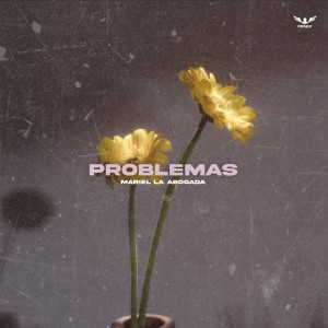 收聽Mariel La Abogada的Problemas歌詞歌曲