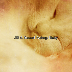Album 58 A Sound Asleep Baby from Serenity Spa Music Relaxation
