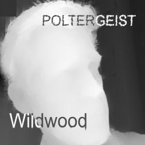 收聽Wildwood的Poltergeist歌詞歌曲