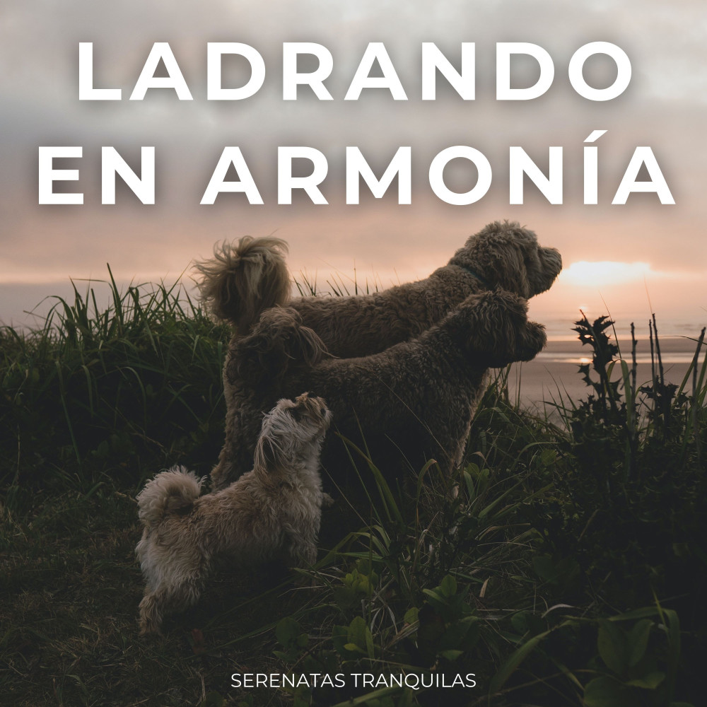 Armonía Melódica Del Ladrido