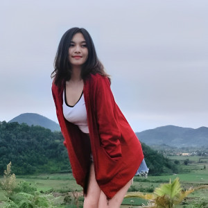 收听DJ Selena的Aku Hanya Pelarian歌词歌曲