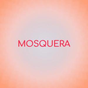 Listen to Mosquera song with lyrics from Loro Moin