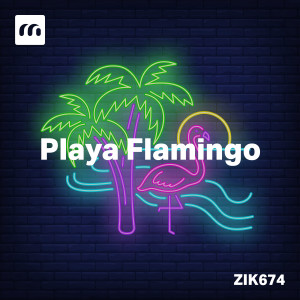 Album Playa Flamingo from Alexandre Larcanche
