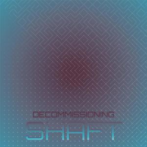 Various Artists的專輯Decommissioning Shaft