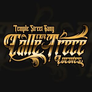 ดาวน์โหลดและฟังเพลง CX3L (TEMPLE ST. GANG) พร้อมเนื้อเพลงจาก Skant Vee