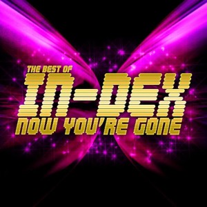 ดาวน์โหลดและฟังเพลง Have It All พร้อมเนื้อเพลงจาก In-Dex