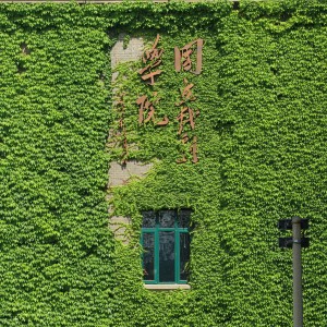 Listen to 常青藤下（为中戏与毕业生） (完整版) song with lyrics from 姚晓棠