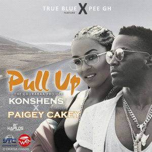 ดาวน์โหลดและฟังเพลง Pull Up พร้อมเนื้อเพลงจาก Paigey Cakey