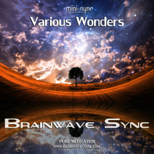 收聽Brainwave-Sync的Winter - Delta Frequency歌詞歌曲