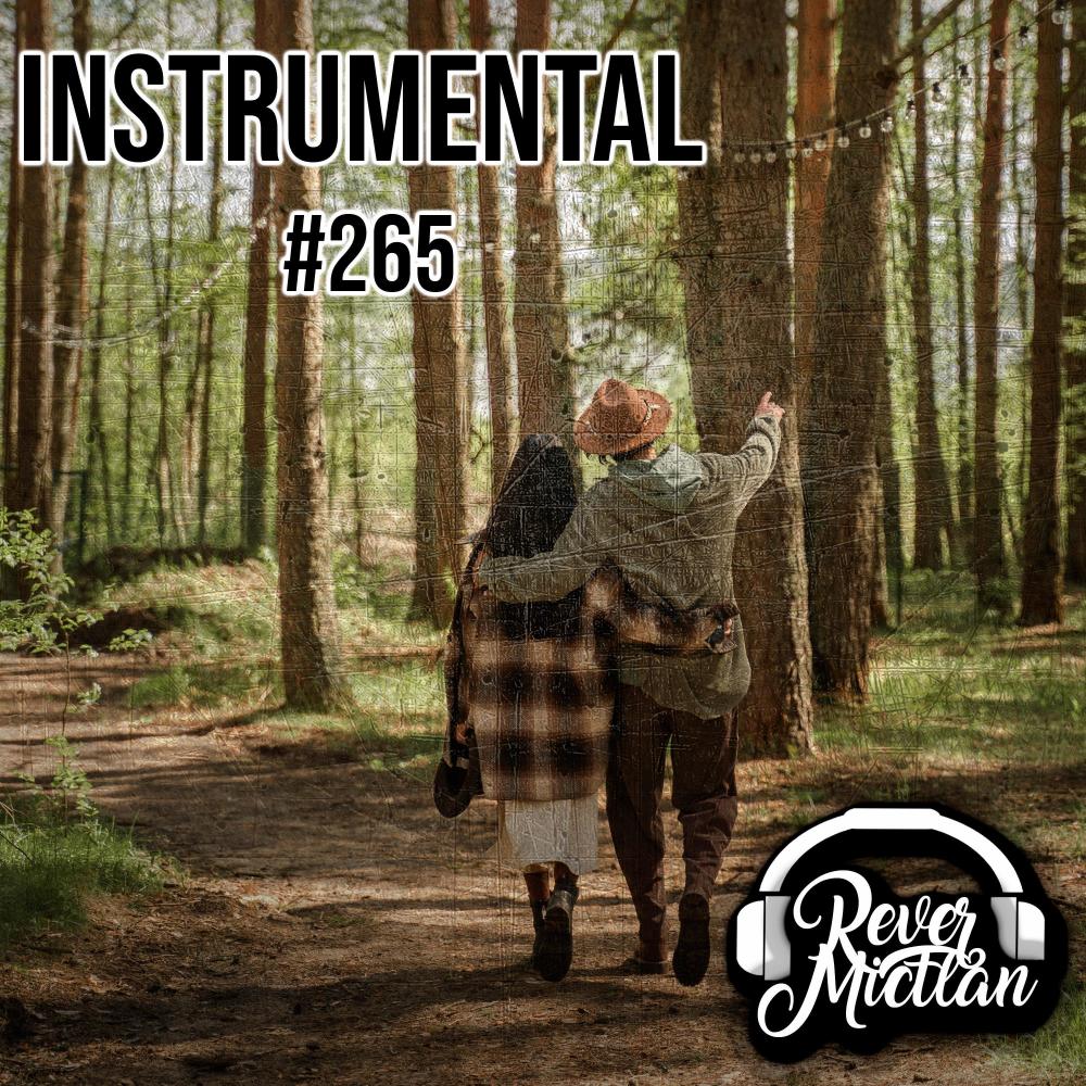#265 FREE Beat lofi romantico caminar contigo